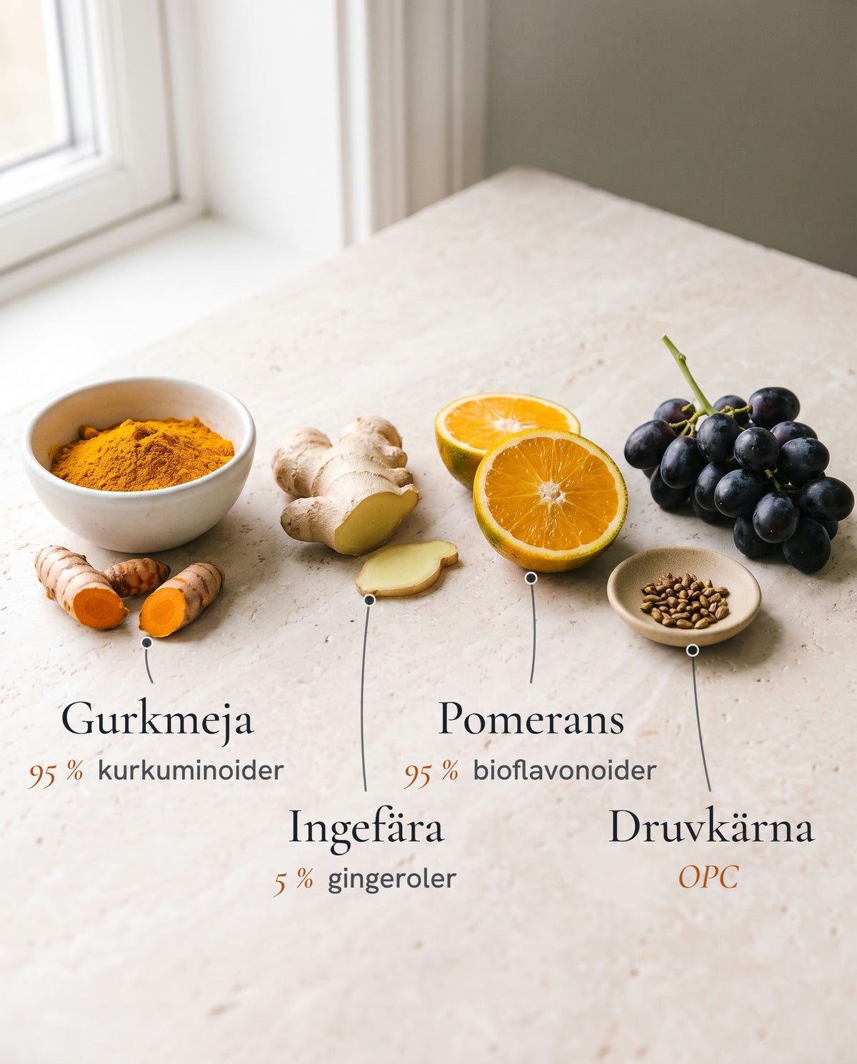 Gurkmeja, ingefära, pomerans och druvkärna på ljus sten, med namn och standardisering: 95 % kurkuminoider, 5 % gingeroler, 95 % bioflavonoider och OPC
