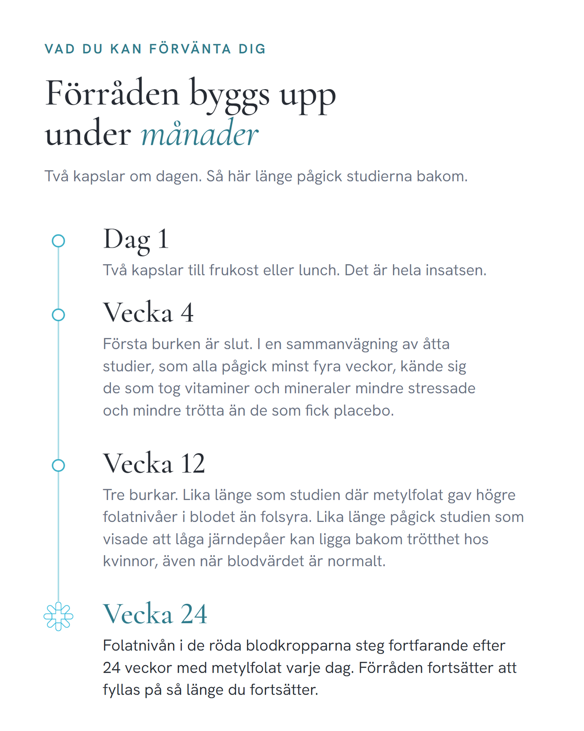 Tidslinje över de första 24 veckorna med MULTI: dag 1, vecka 4, vecka 12 och vecka 24