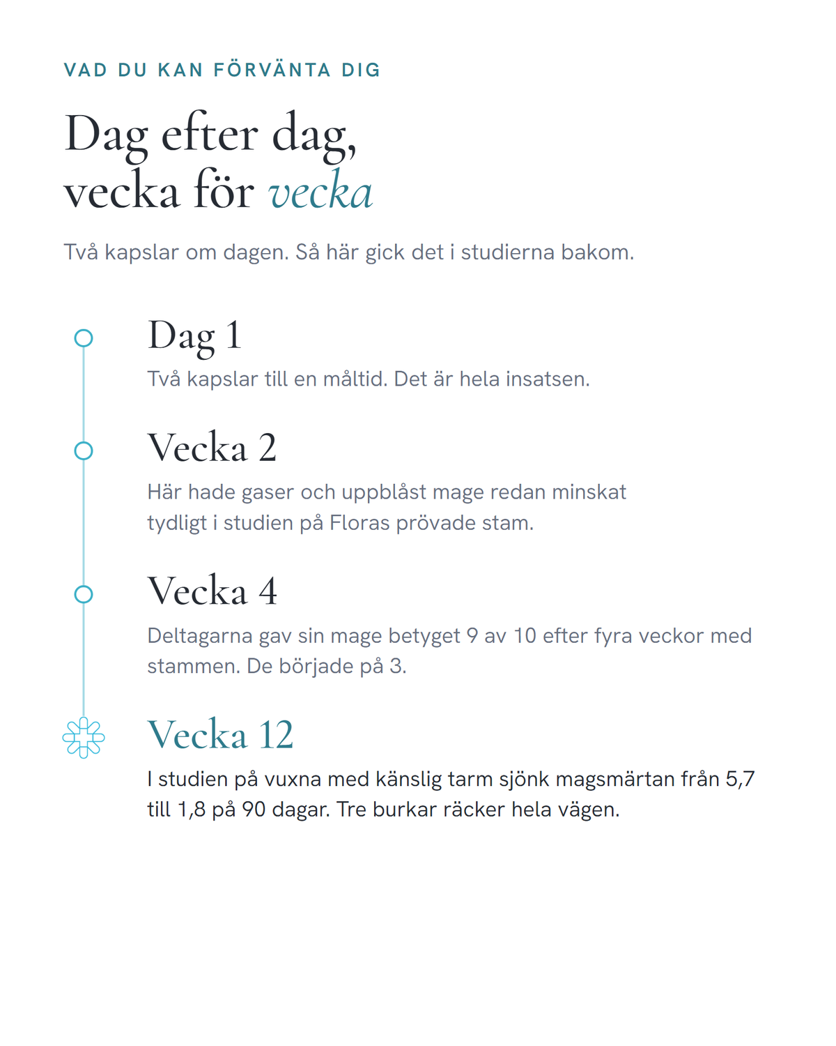Tidslinje med studiernas längd: dag 1, vecka 2, vecka 4 och vecka 12